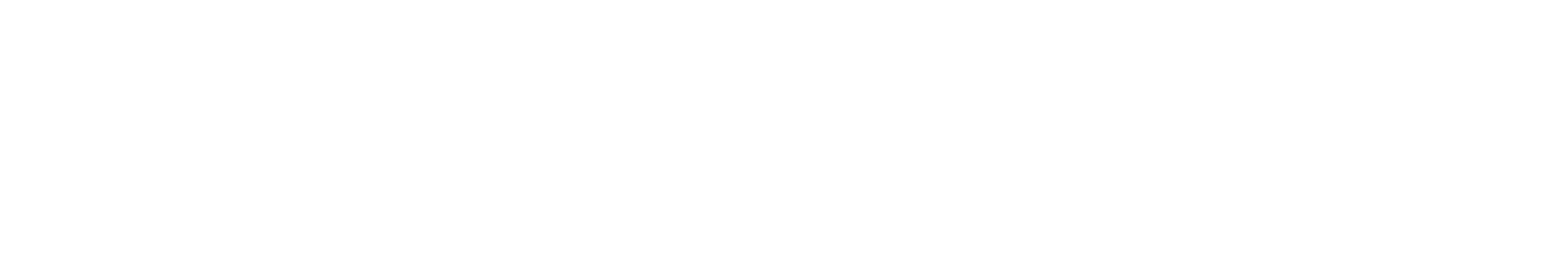 MAXX Aircraft Maintenance Logo